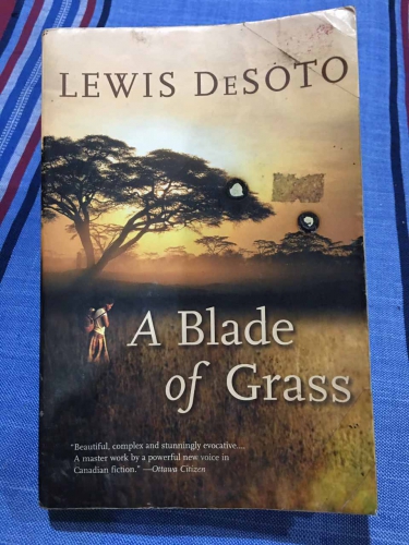 A blade of grass