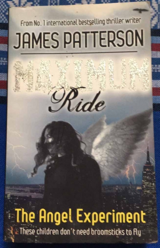 Ride the angel experiment