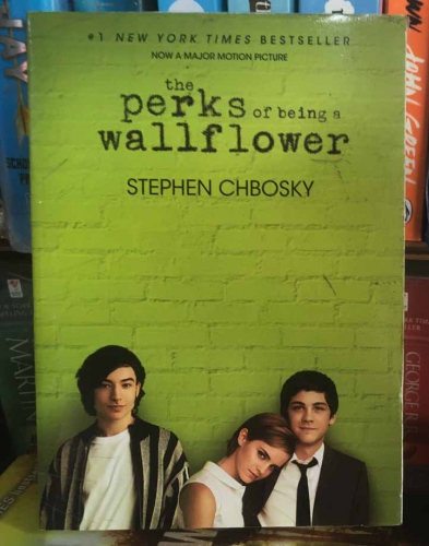 The perks of being a wallflower