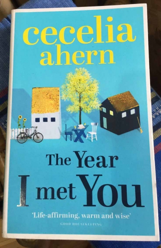 The year I met you by Cecelia Ahern