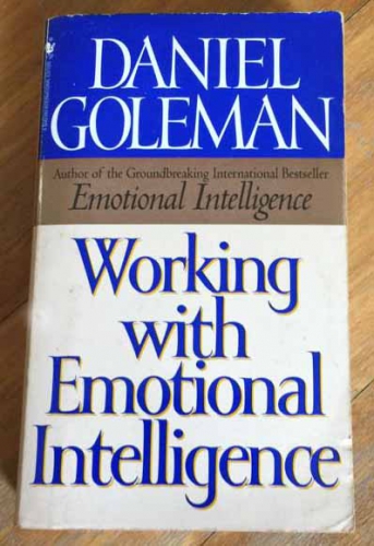 Working with emotional intelligence by Daniel Goleman