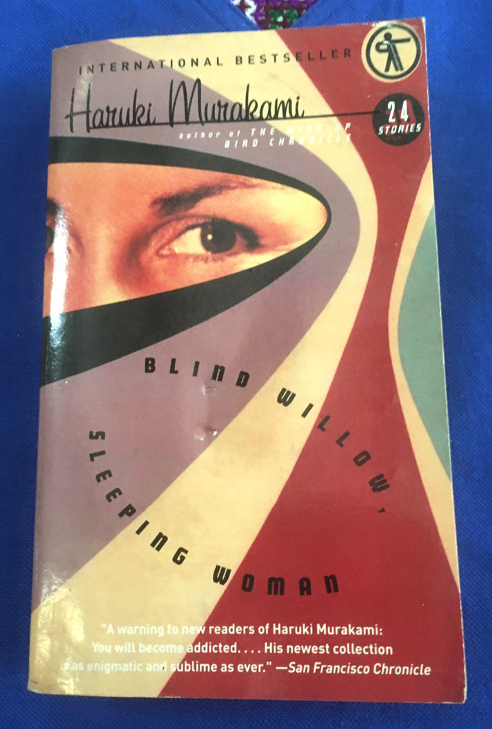 Blind willow, sleeping woman by Murakami