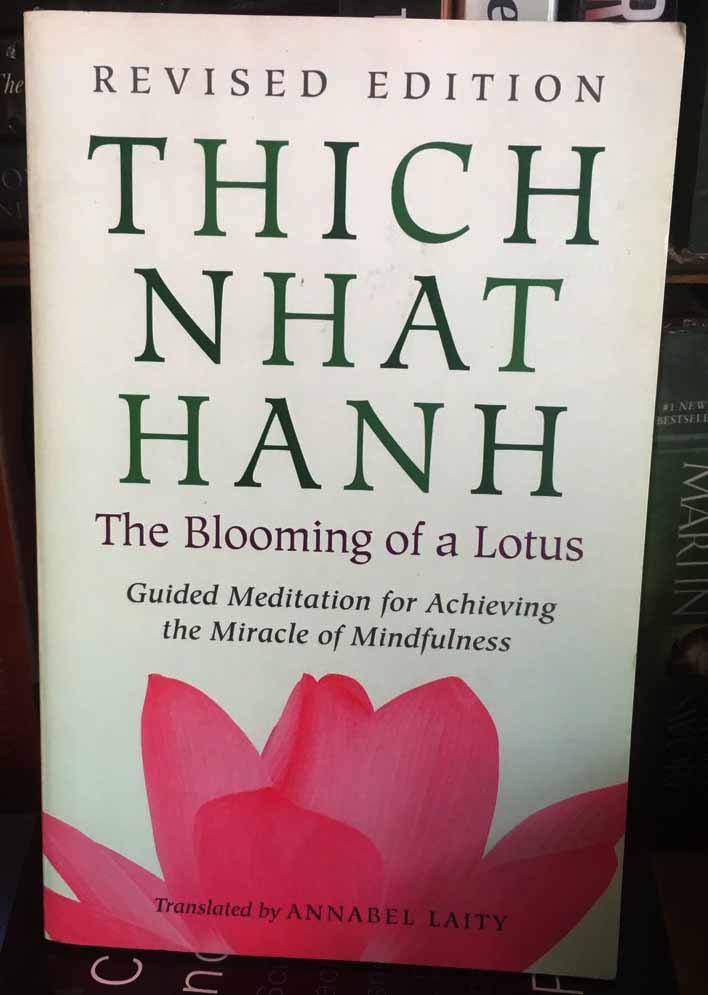 The blooming of a lotus