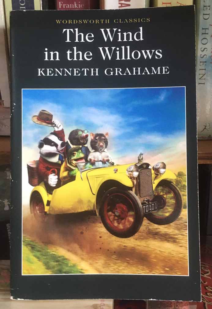 The wind in the willows